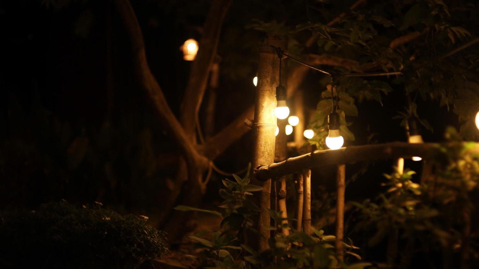 Peaceful Refuge Homestay Ninh Binh Exterior foto