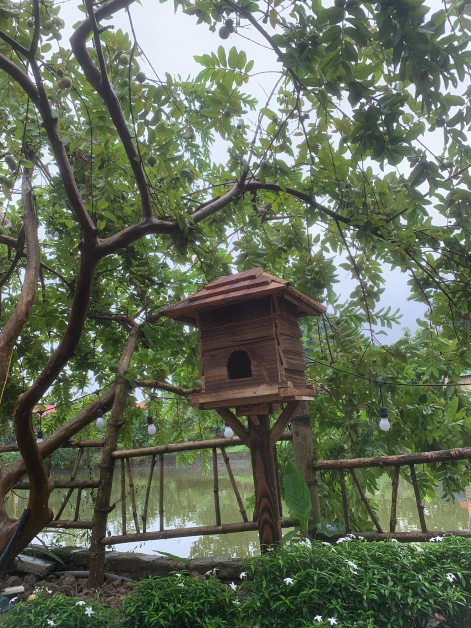 Peaceful Refuge Homestay Ninh Binh Exterior foto